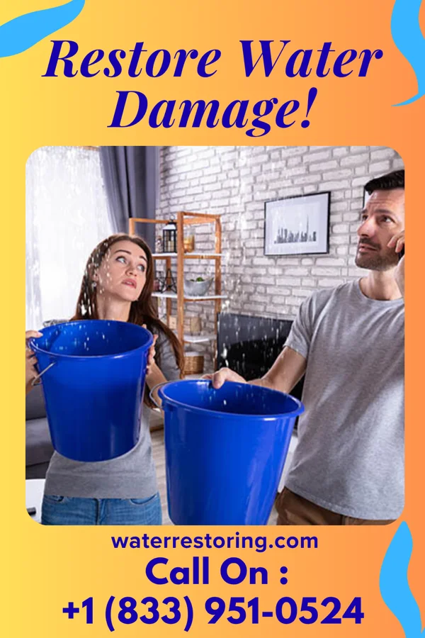 water restoration Ace Damage Restoration & Sons Jenera
