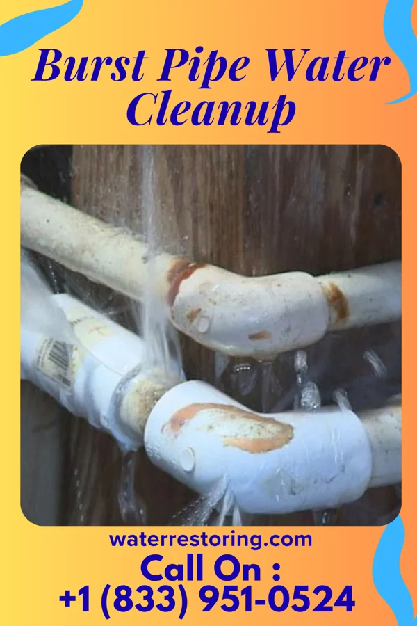 Burst Pipe Water Cleanup in Jenera, OH