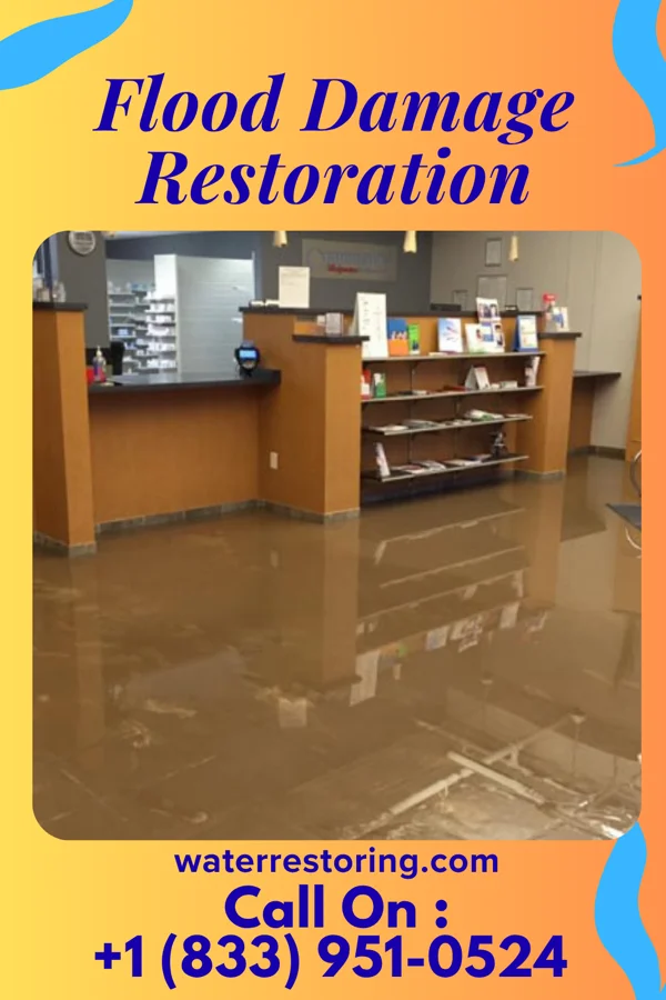 Flood Damage Restoration in Jenera, OH