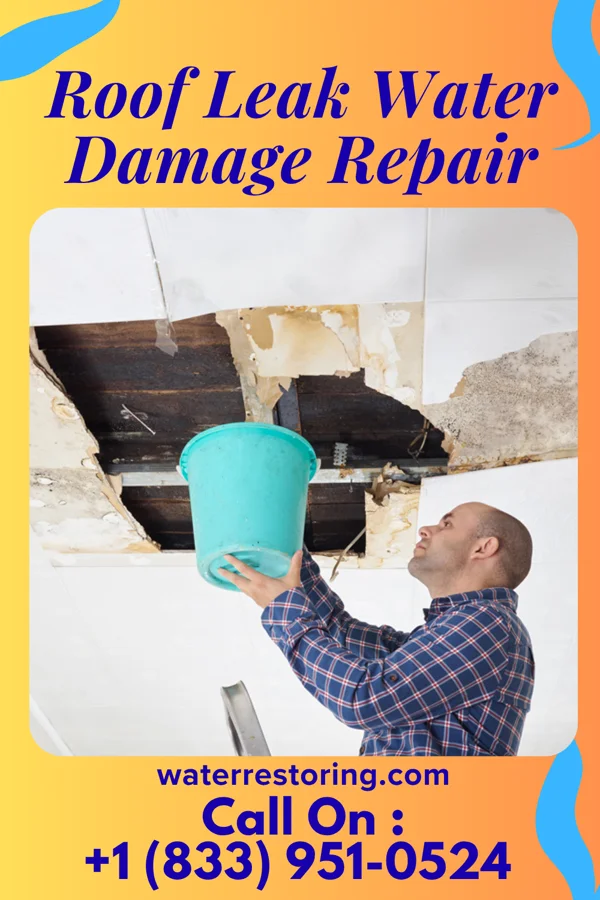Roof Leak Water Damage Repair in Jenera, OH