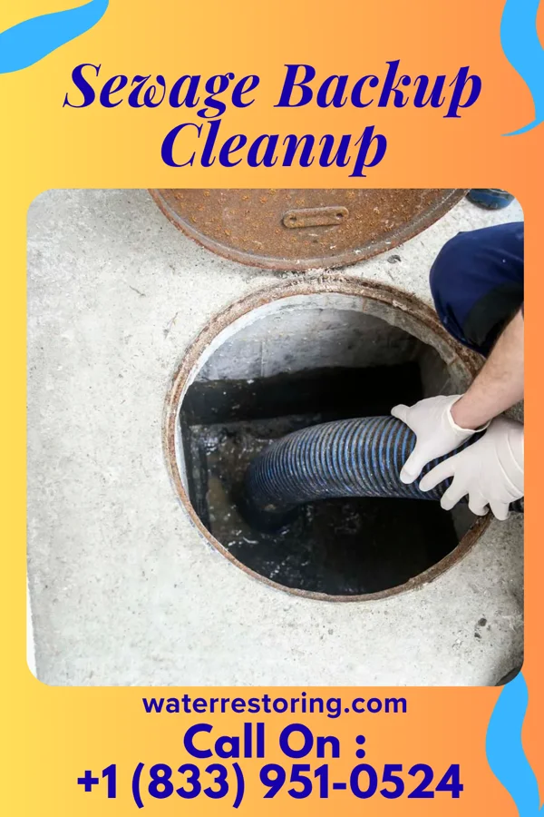 Sewage Backup Cleanup in Jenera, OH