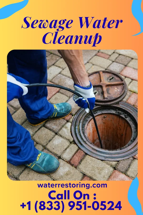 Sewage Water Cleanup in Jenera, OH