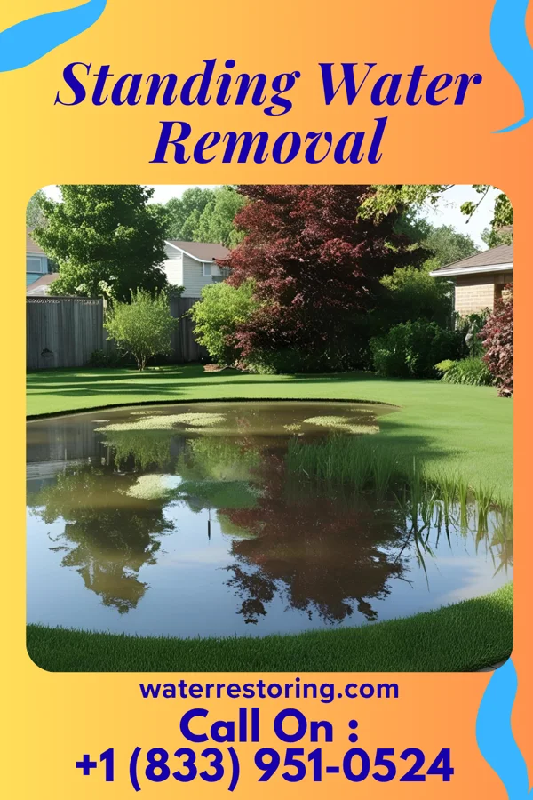 Standing Water Removal in Jenera, OH